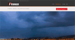Desktop Screenshot of fireneze.com.br